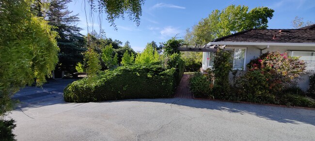 Photo - 905 Black Mountain Rd House