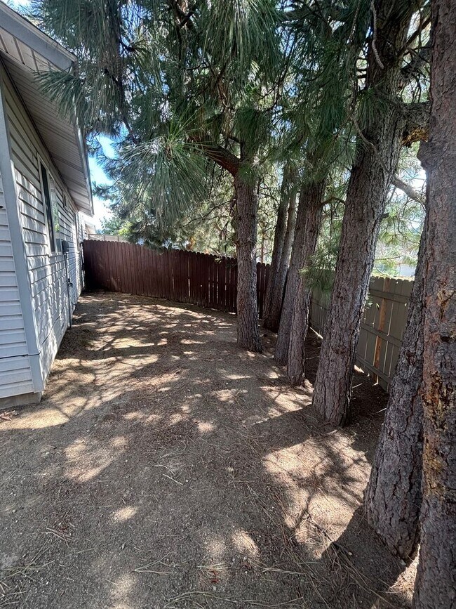 Photo - 211 N Lava Unidad #C