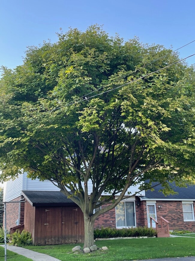 Photo - 7209 Main St