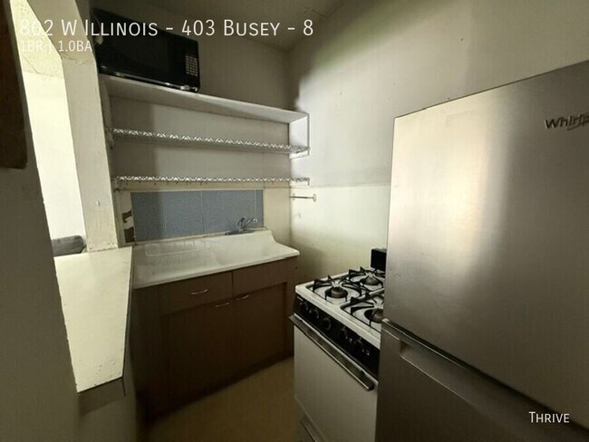 802 W Illinois St Unit 8