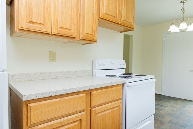 Photo - Mimosa Court