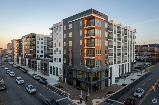 The Palmer - The Palmer