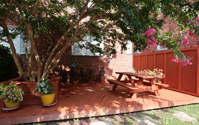 Sun Deck - Glebe House Apartments