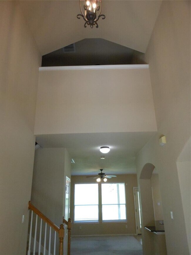 Photo - 40 Cypress Knee Ln