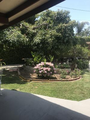 patio trasero
