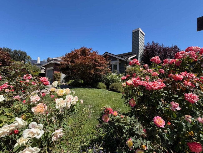 "Charming 4-Bed Oasis with Granite Touches with Tennis and Poolside Bliss steps away in Danville!"