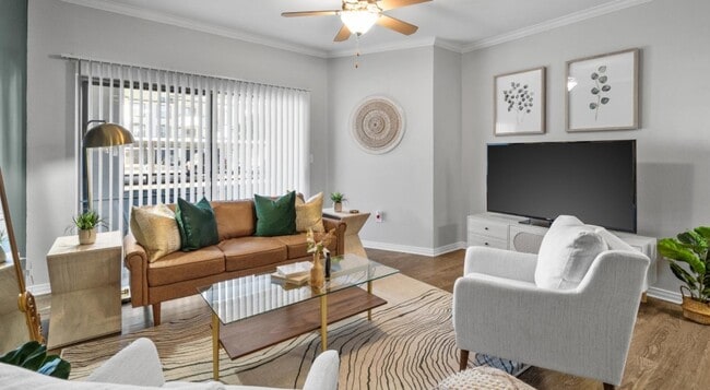 Spacious and well-lit living spaces