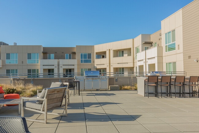 Rooftop Outdoor Living & Grilling Stations