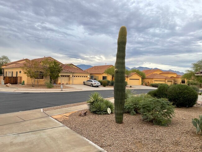 View from garage - 12905 N Mesozoic Dr House