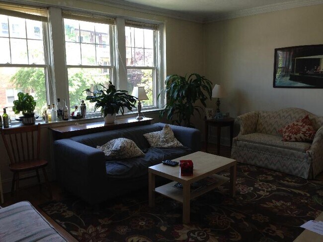 251 Kelton St Unit 3
