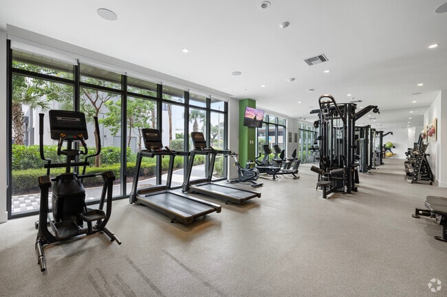 Gimnasio