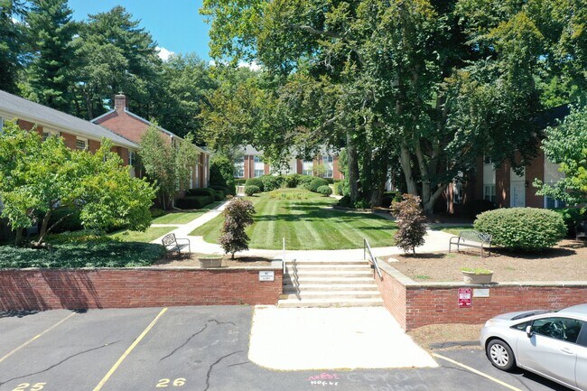 Sycamore Garden