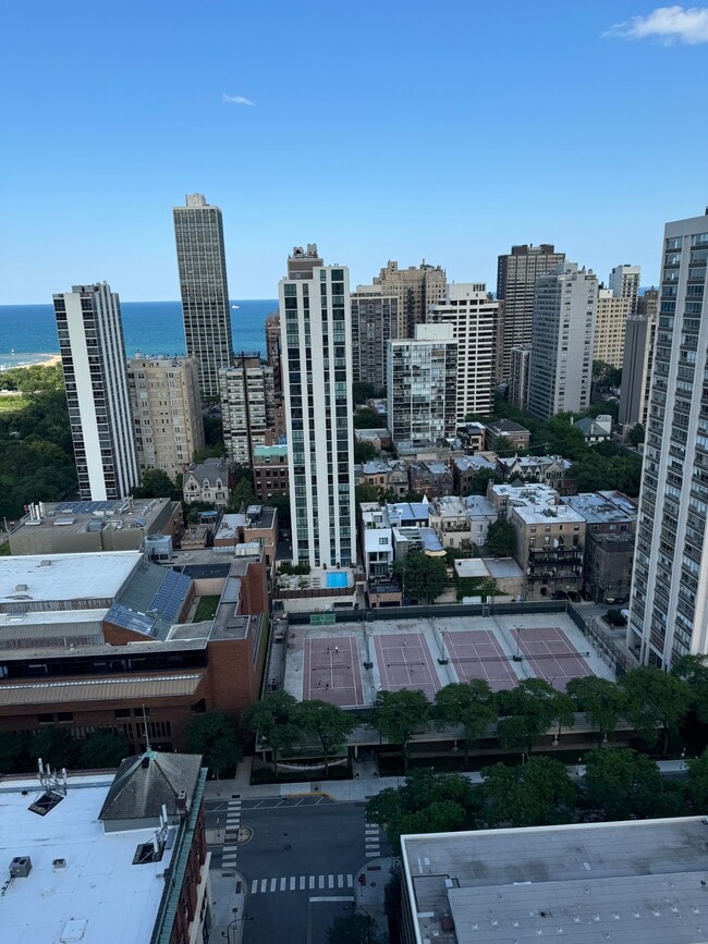 Photo - 1560 N Sandburg Ter Unit 2906