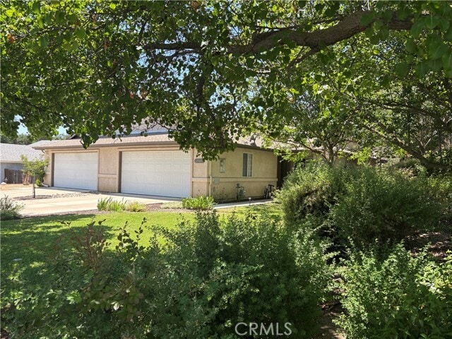 Photo - 1509 Trinity Ct