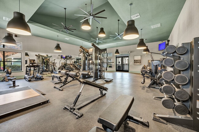 The Wilde - Amenities - Fitness Center - The Wilde