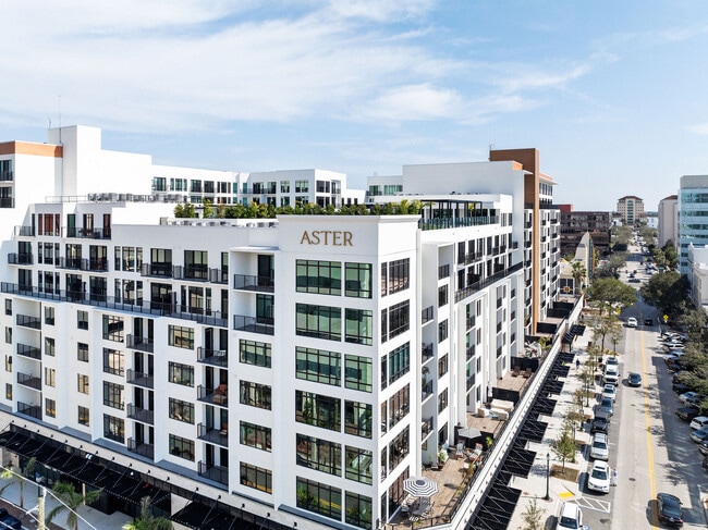 Photo - Aster & Links