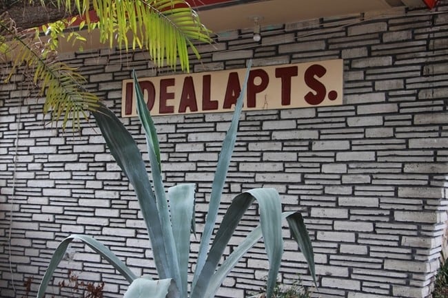 Photo - NoMi Happy Livin'