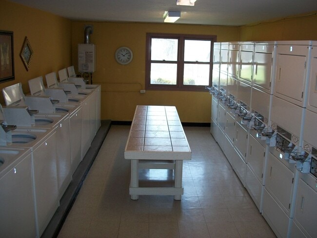 Photo - Willow Creek