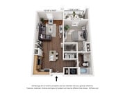 1BR, 1BA- 742 SF- Trifecta