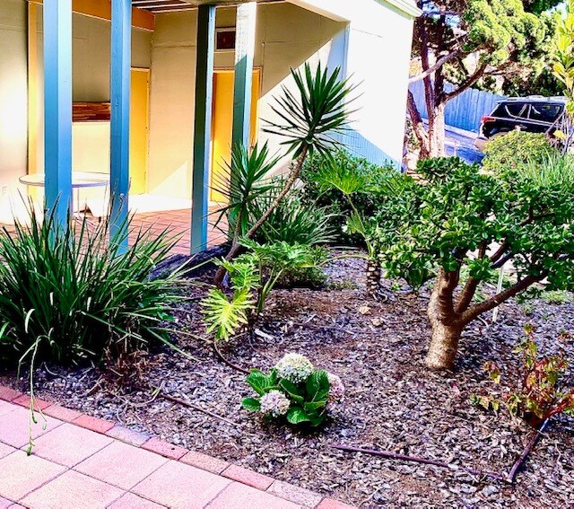 Photo - Curlew Apartments