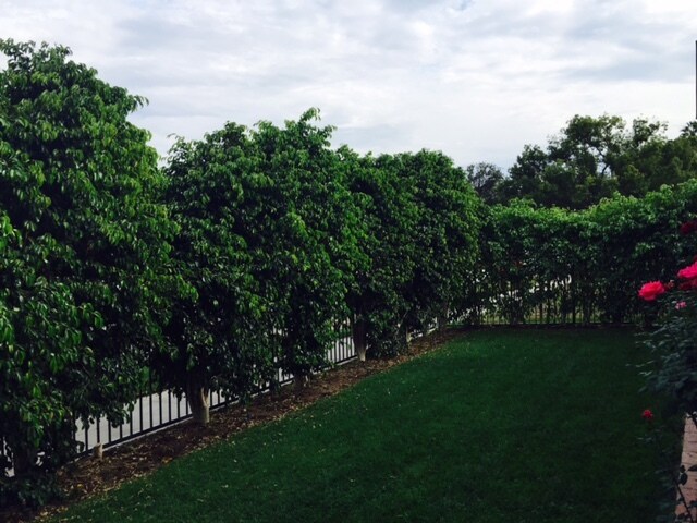 Photo - 261 N Florence St Unit 261 n Florence St