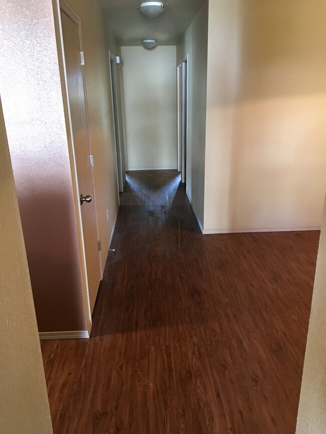 Photo - 903 Meadowlands Dr