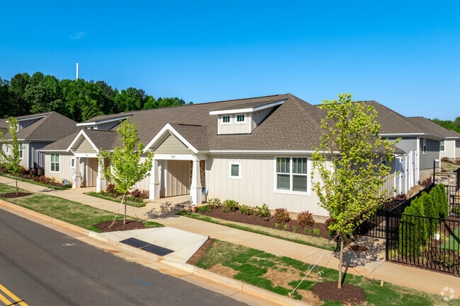 Zora University - Zora University