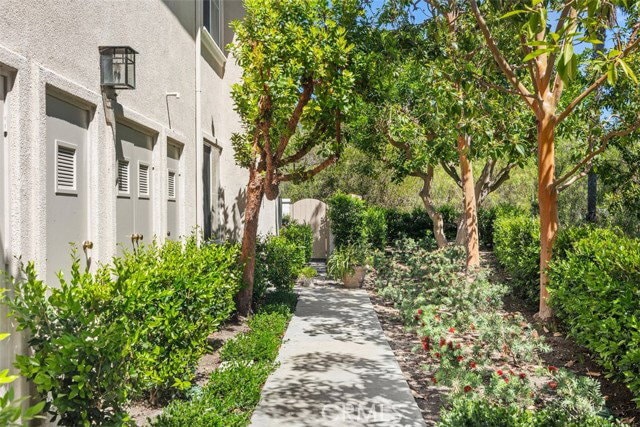 Photo - 1 Calle Viveza