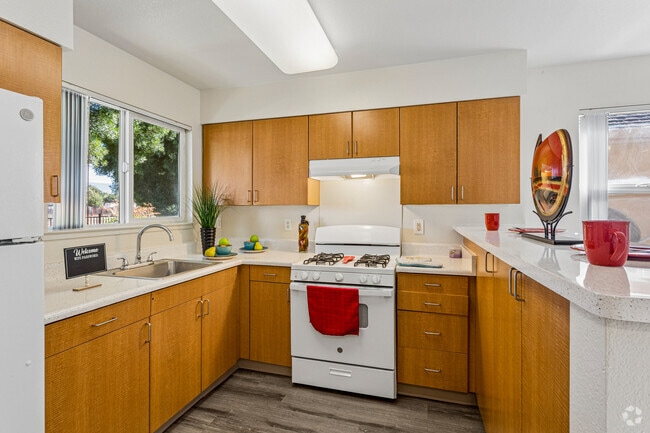 1BR, 1BA -597SF - Kitchen