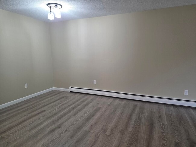 Photo - 2 Bed, 1 Bath Apartment