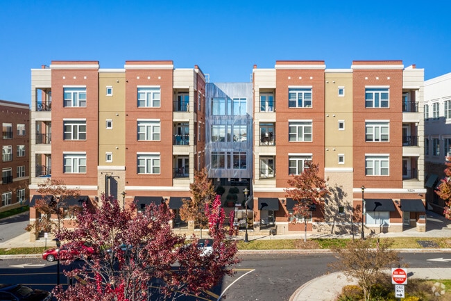 Ayrsley Lofts