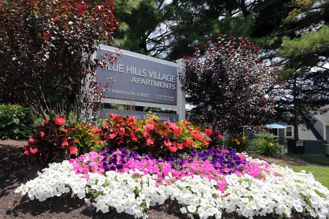 Blue Hills Village