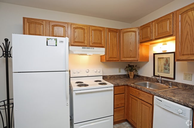 Springtree Apartments