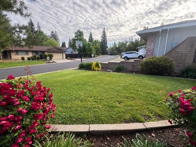 Photo - Stunning 3 bedroom 2.5 bathroom home in Folsom with large backyard