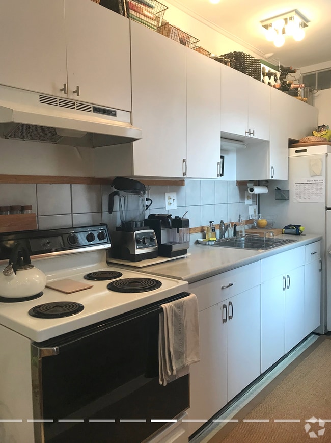 Building Photo - 93 Marion St Unit P8 Rental