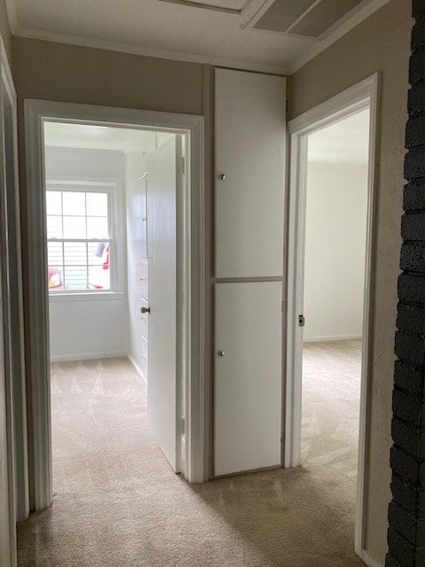 Photo - 355 Erskine Ave