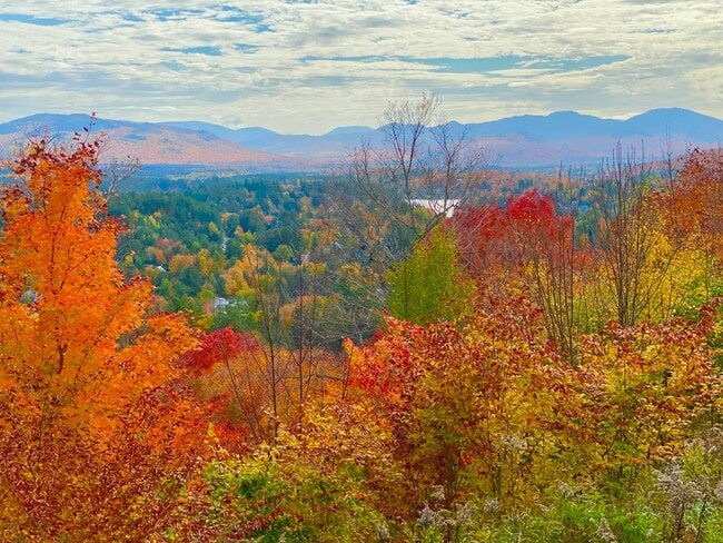 Photo - 63 Palisade Park Way