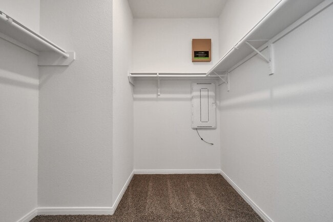 Photo - 10326 Mount Winchell Dr