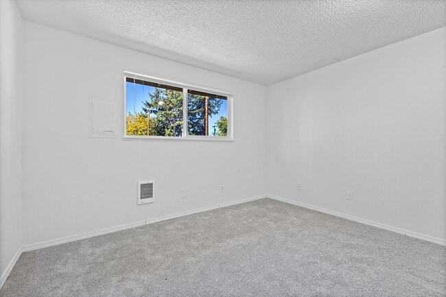 Photo - Cascade Firs