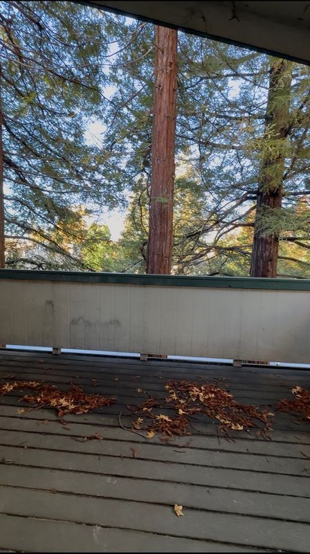 Photo - 5425 Concord Blvd