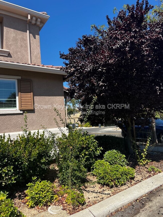 Photo - 172 W Viola St