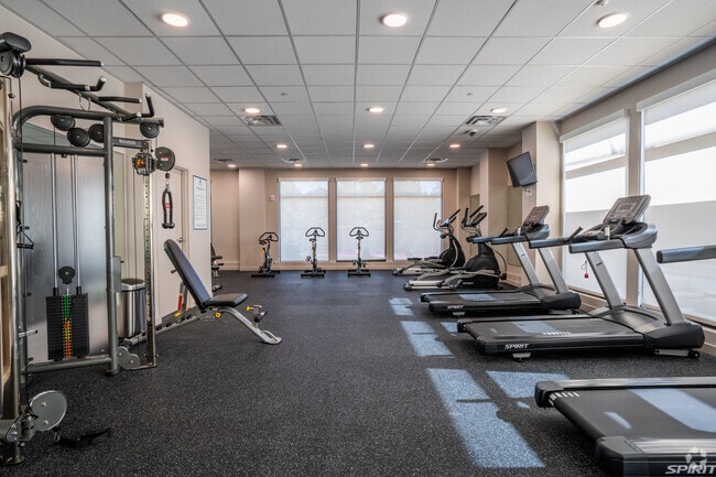 Gimnasio