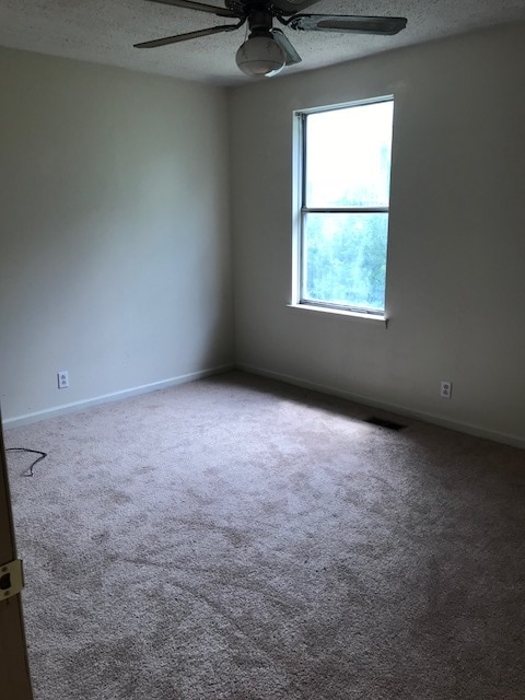 Photo - 3613 Willow Creek Ct