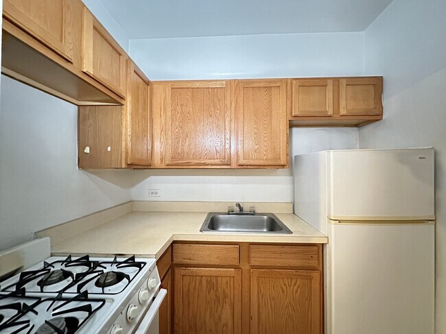 Photo - 1169 N Dearborn St Unit 514