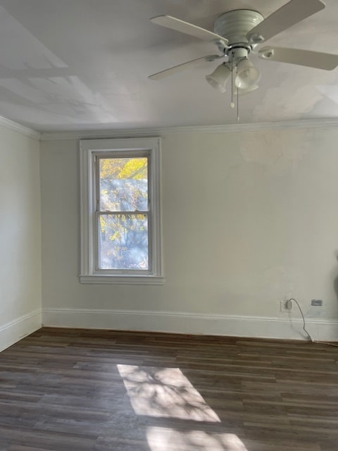 Photo - 4039 Gleane St Unit #2