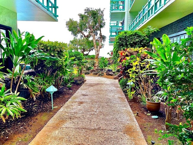 Photo - Diamond Head Ambassador - Available Now