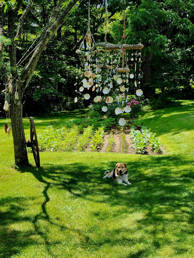 Photo - 269 E Main St Unidad A