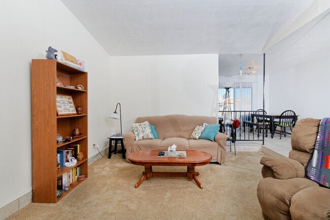 Photo - Lots of space for you and your dog!