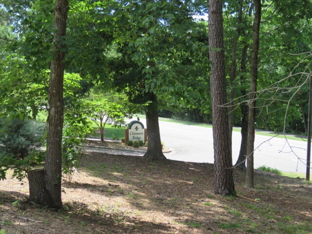 Building Photo - 3803 Chimney Ridge Pl Rental