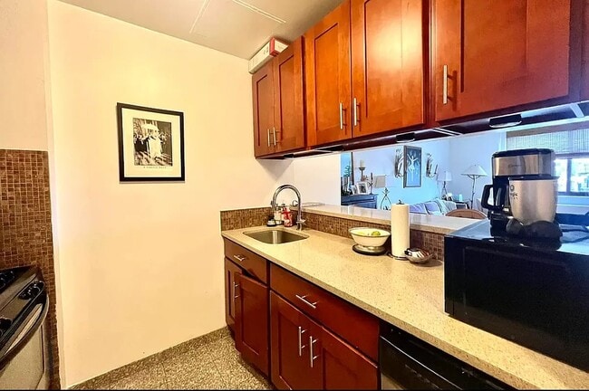376 Broadway Unidad 17M